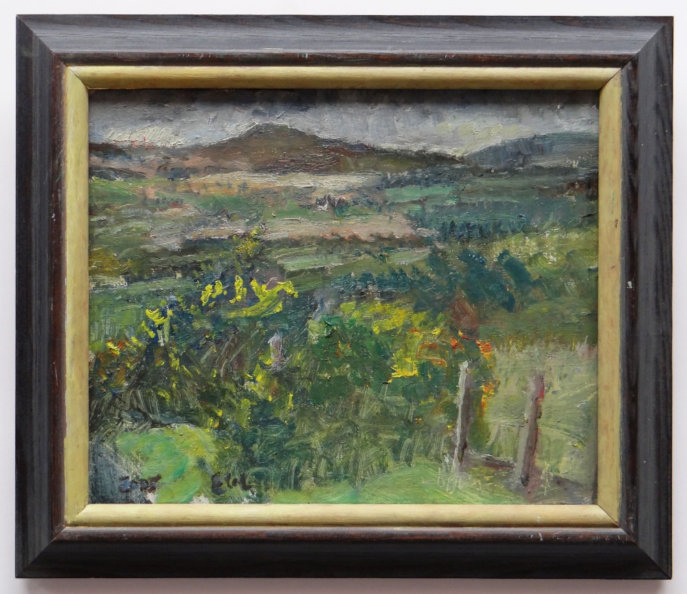 EDWARD LEWIS (1936-2018) oil on canvas - mountain landscape, entitled verso 'Rhigos', signed and