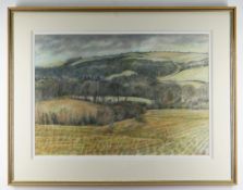 GLYN GRIFFITHS pencil and watercolour - landscape, entitled verso on Albany Gallery label, 'Clifton,