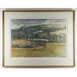 GLYN GRIFFITHS pencil and watercolour - landscape, entitled verso on Albany Gallery label, 'Clifton,