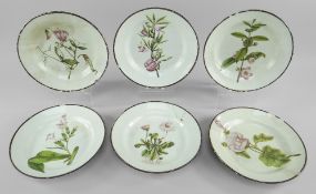 SIX SWANSEA PEARLWARE BOTANICAL PLATES IN THE STYLE OF THOMAS PARDOE circa 1802-1810, each botanic