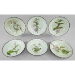 SIX SWANSEA PEARLWARE BOTANICAL PLATES IN THE STYLE OF THOMAS PARDOE circa 1802-1810, each botanic