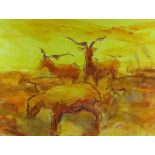 TOM NASH acrylic - Camargue cattle in orange and yellow, signed, 36 x 48cms Provenance: directly