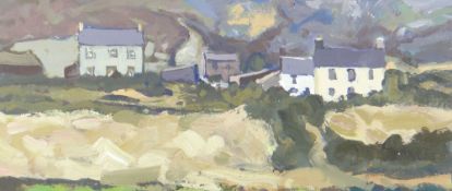 GARETH THOMAS oil on board - Welsh cottages in mountains, signed, unframed, 16 x 36.2cms