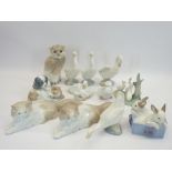 NAO ANIMAL MODELS (12), some with boxes