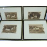 STANLEY BERKLEY prints - series of four Victorian dog prints, titled 'The Blue Bag', 'A Hunting We