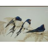 TERENCE LAMBERT fine watercolour - three swallows perched on corn stalks, signed, 26 x 46cms
