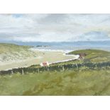 OWEN MEILIR oil on board - coastal scene with red roofed cottage, signed, 42 x 55cms