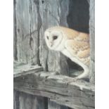 RALPH WATERHOUSE coloured guild stamped print - alert Barn owl peering out of a hole in timbers,