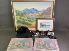 PIMPERNEL PLACE MATS, two box sets, Panasonic Lumix compact camera, cased binoculars, modern