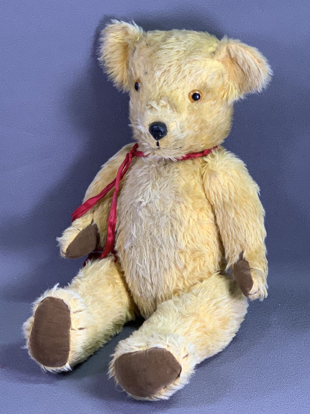 VINTAGE TEDDY BEAR - growler with glass?/plastic eyes and red bow, labelled 'Pedigree New