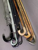 SHEPHERD'S CROOKS with carved fish shaped handles, other sticks and umbrellas