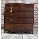 REGENCY EBONY STRUNG MAHOGANY BOWFRONT CHEST, fitted two short and three graduated long drawers,