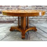 IMPRESSIVE GEORGE IV BURR ELM BREAKFAST TABLE, circular top above shallow recessed frieze, on