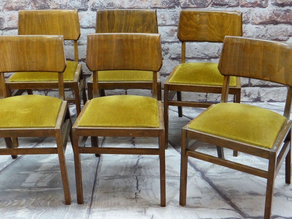 BEN OF FROME: EIGHT MID-CENTURY STAINED BEECH LOUNGE CHAIRS, with bent plywood tablet backs, mustard