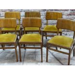 BEN OF FROME: EIGHT MID-CENTURY STAINED BEECH LOUNGE CHAIRS, with bent plywood tablet backs, mustard