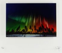 RICHARD ROWAN limited edition (75/295) giclee on glass - 'Nature Awakens', entitled verso, signed