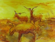 TOM NASH acrylic - Camargue cattle in orange and yellow, signed, 36 x 48cms Provenance: directly