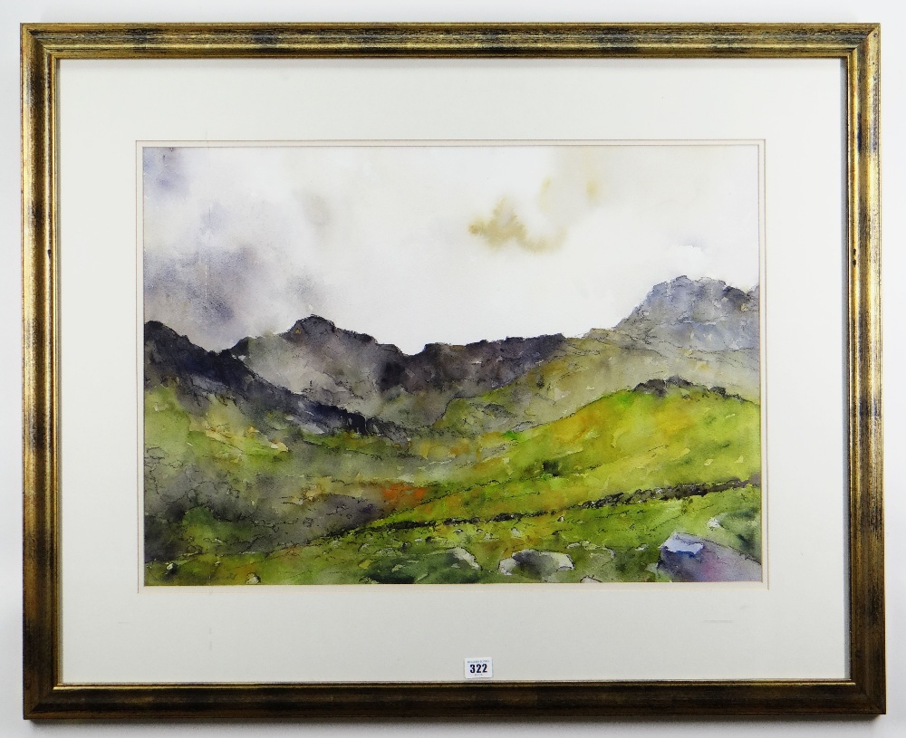 DAVID GROSVENOR watercolour - Eryri landscape, entitled verso 'Llanberis Pass', signed, 51 x 70cms - Image 2 of 2