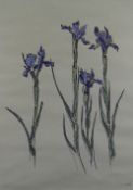 SIR KYFFIN WILLIAMS RA ink and gouache on grey paper - botanical study of irises, 1982, signed