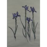 SIR KYFFIN WILLIAMS RA ink and gouache on grey paper - botanical study of irises, 1982, signed