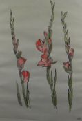 SIR KYFFIN WILLIAMS RA ink and gouache on grey paper - botanical study of gladioli, 1982, signed
