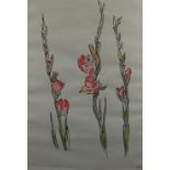 SIR KYFFIN WILLIAMS RA ink and gouache on grey paper - botanical study of gladioli, 1982, signed