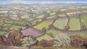 DAVID LLOYD GRIFFITH oil on board - landscape with fields, entitled verso 'Dyffryn Dulas, Conwy,