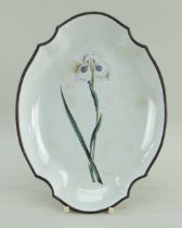 A SWANSEA PEARLWARE POTTERY BOTANICAL DISH BY THOMAS PARDOE of near oval form with concave