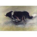 WILLIAM SELWYN artist proof colour print - a speeding sheep dog, signed in full, 40 x 56cms