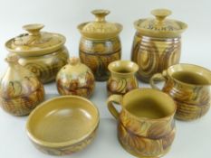 GROUP OF GWILI STONEWARE TABLEWARE including jars, mug with interior tortoise, vinegar dispensers,