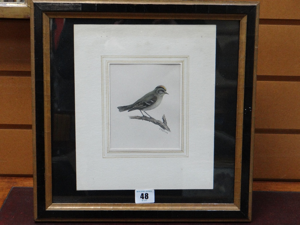 LILIAN M MEDLAND (1880-1955) watercolour - Yellowcrest, and a companion, signed 13.5 x 11cms (2) - Image 4 of 14