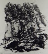 JOHN ROBERTS lithograph - two figures, titled in margin 'Olive Tree and Rocks', signed and dated