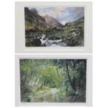 WILLIAM SELWYN limited edition prints (2) 115/150 and 89/150 - Snowdonia and a leafy lane scene,