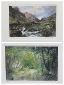 WILLIAM SELWYN limited edition prints (2) 115/150 and 89/150 - Snowdonia and a leafy lane scene,