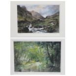 WILLIAM SELWYN limited edition prints (2) 114/150 and 90/150 - Snowdonia and a leafy lane scene,