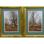 WALTER BOOTLE (1859 - 1914) oils on board, a pair - titled 'Burnham Beeches', signed, 29 x 19cms