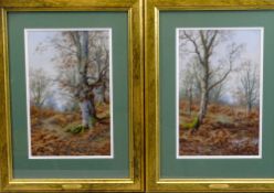 WALTER BOOTLE (1859 - 1914) oils on board, a pair - titled 'Burnham Beeches', signed, 29 x 19cms
