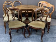 VICTORIAN BURR WALNUT LOO TABLE and ten mixed salon/dining chairs, 72cms H, 104cms W, 144cms L the