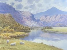 WARREN WILLIAMS ARCA watercolour - Snowdonia with grazing sheep to foreground, signed, 33 x 48cms