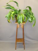 ASPIDISTRA PLANT IN A BRASS COAL SCUTTLE on a two tier oak stand, 160cms overall H