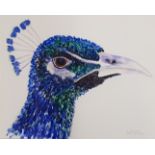 SUE TRUSLER ink and watercolour - entitled 'The Proud Peacock', 28 x 33cms, glazed and framed in