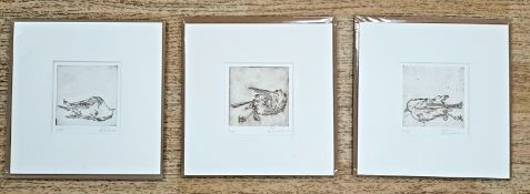 ROSE SANDERSON three limited edition (9/25) etchings - 'Bird 1, Bird 2, Bird 3', 19 x 18cms, mounted