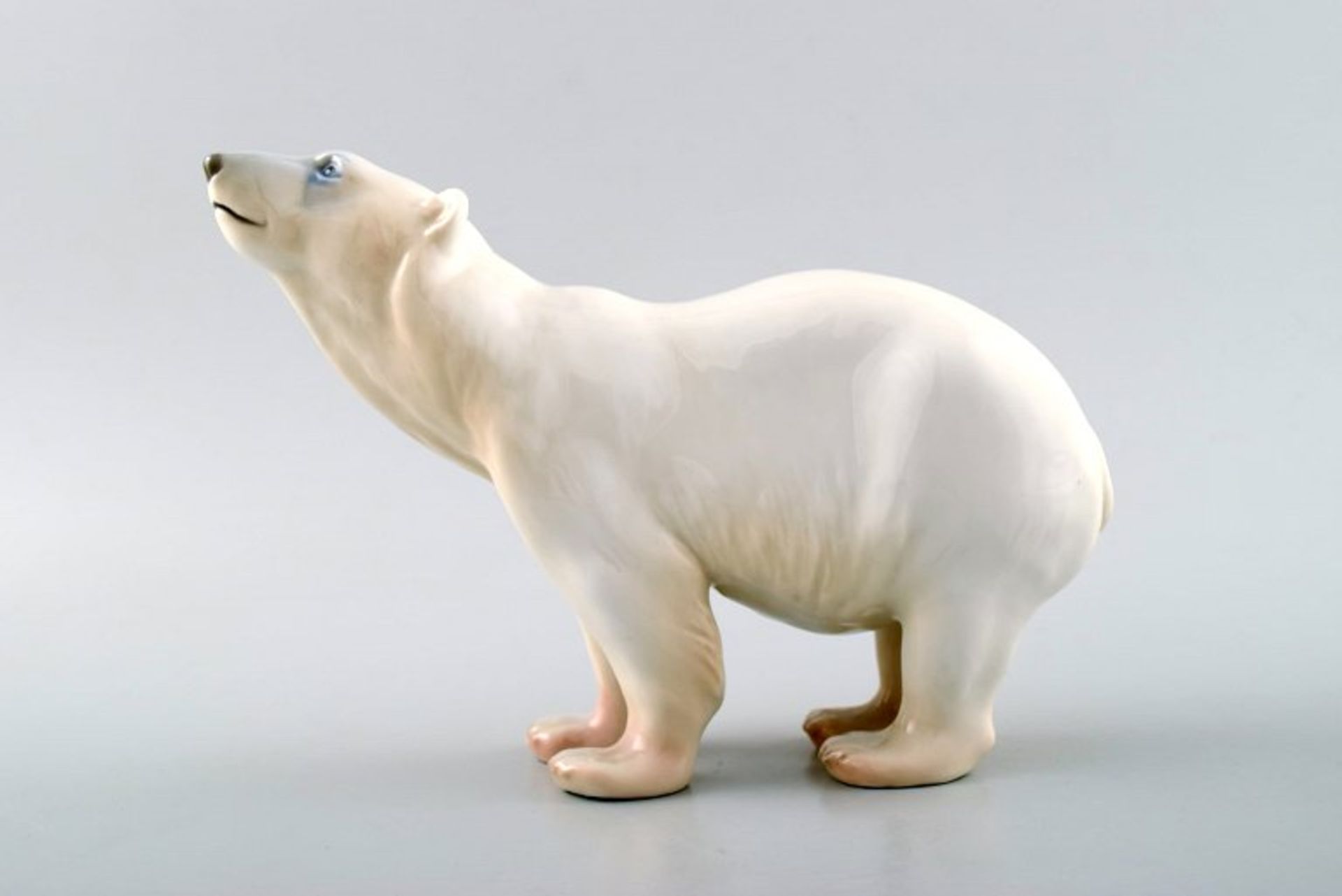 Bing & Grøndahl. Neugieriger Eisbär. Entwurf Niels Nielsen. Modell 1692. II.W. L. 19cm.