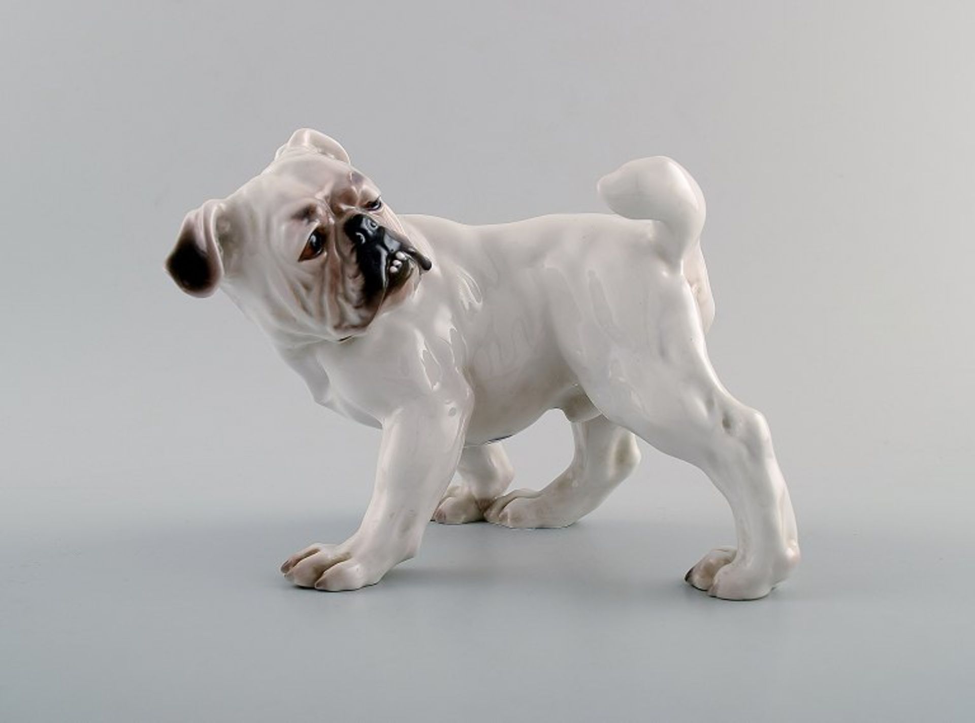 Bing & Grøndahl Hund, Nummer 1992. Englische Bulldogge. Selten. I.W. H. 14 cm.