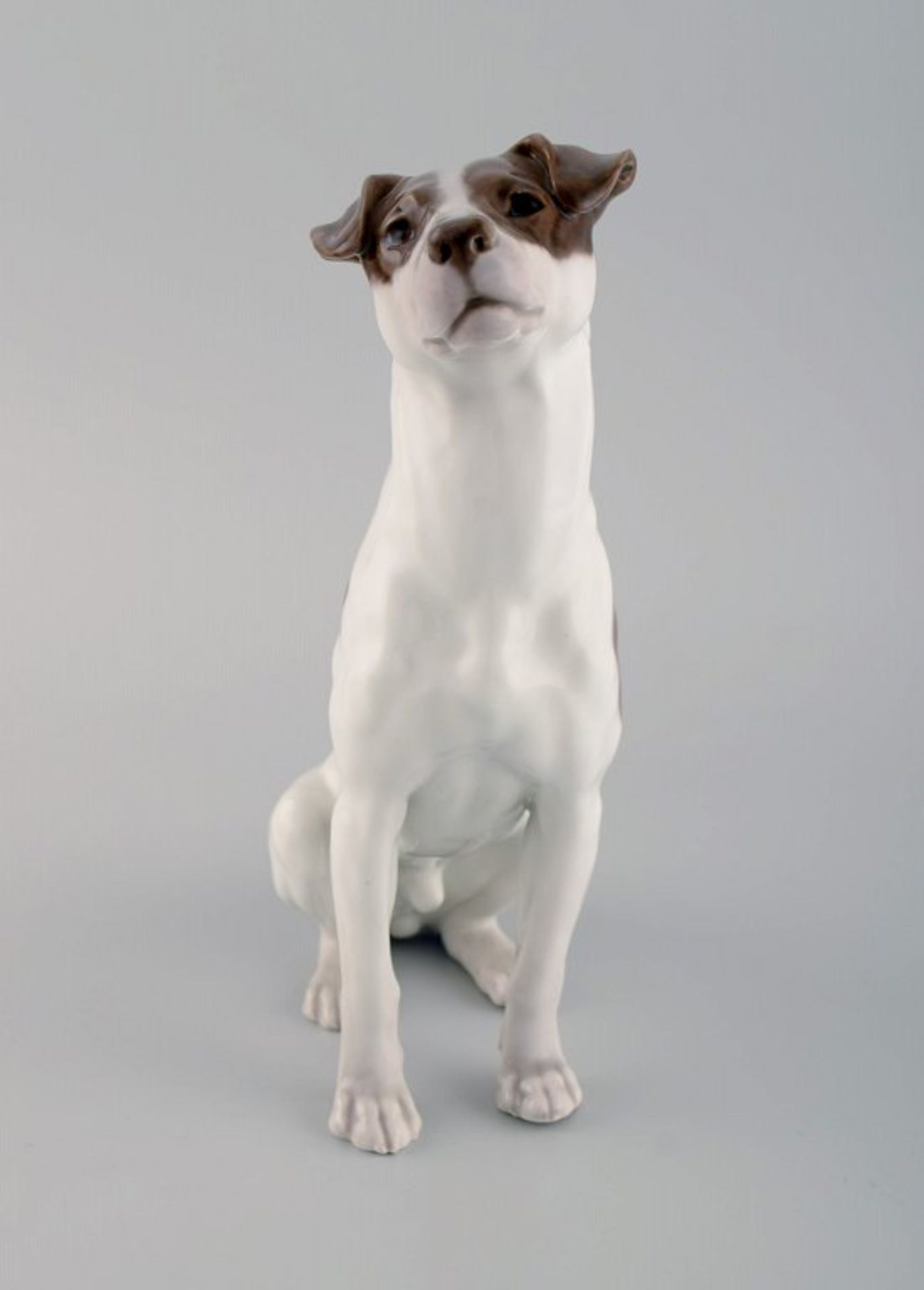 Royal Copenhagen Porzellanfigur. Terrier. Modell 1452/753. 1920's. I.W. Ca. 23cm.