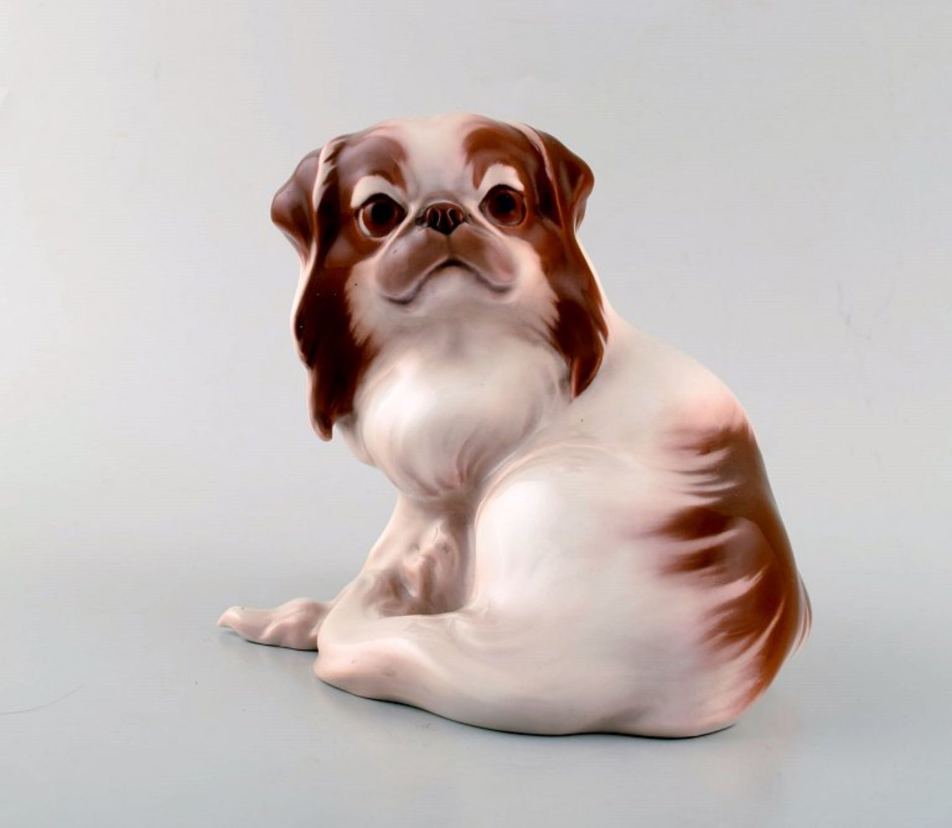 Bing & Grøndahl. Porzellanfigur. Seltener Pekinese. Modell 1637. I.W. Ca. 22cm.