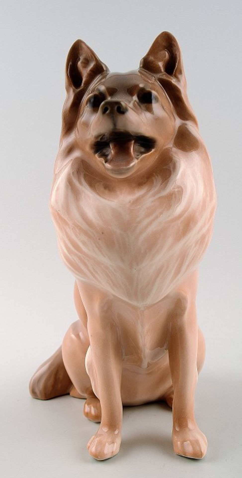 I.W. H. 18cm.Royal Copenhagen German Spitz. Modell 1238/977. I.W. H. 18cm.