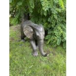 Modern bronze cast metal garden study of a elephant.