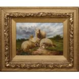 R.MORRIS (BRITISH, 19TH CENTURY) SHEEP ON A MOOR