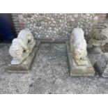 Pair of Large Resin Lions And Stone Pedastal Bases